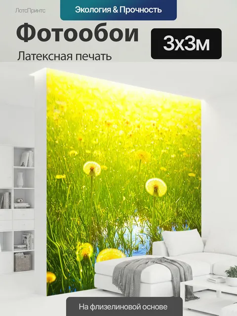 300 × 300 см · Латексная печать