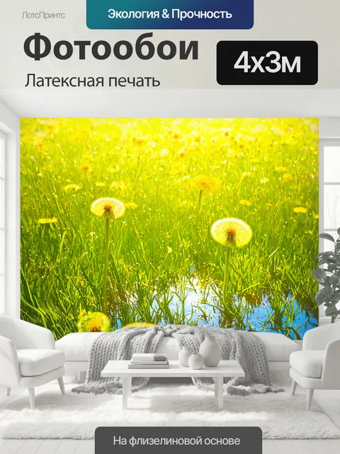 400 × 300 см · Латексная печать
