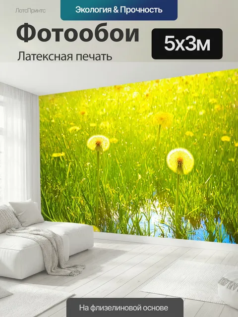 500 × 300 см · Латексная печать