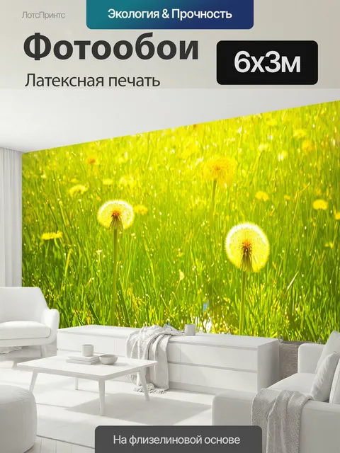 600 × 300 см · Латексная печать