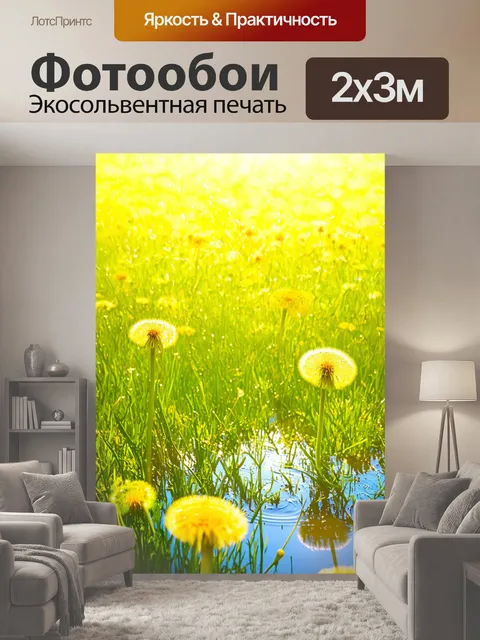 200 × 300 см · Экосольвентная печать