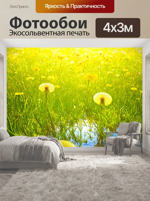 400 × 300 см · Экосольвентная печать