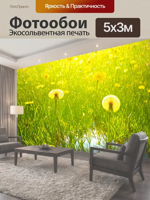500 × 300 см · Экосольвентная печать