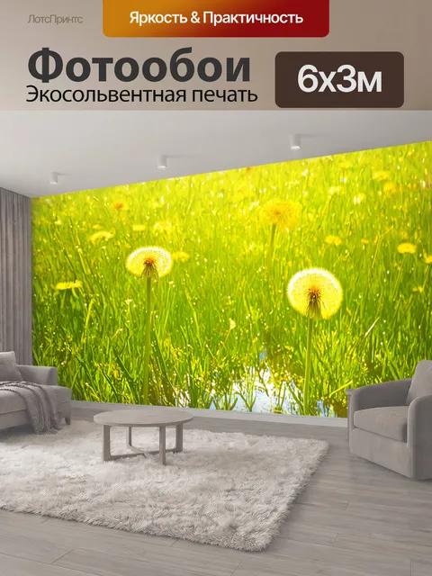 600 × 300 см · Экосольвентная печать