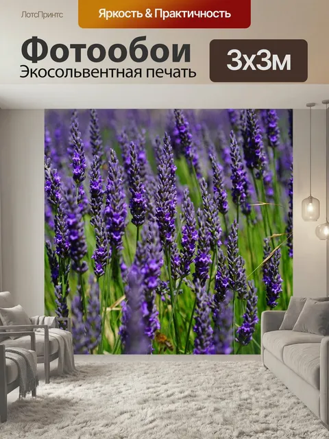 Фотообои Цветы лаванда, синий, расцветает
