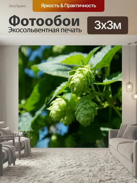 Фотообои Хмель, прыгать, хоп сада