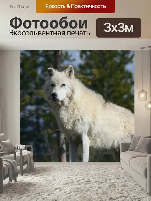 Фотообои Волк, canis волчанка, йеллоустонский национальный парк