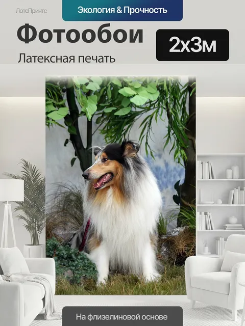 200 × 300 см · Латексная печать