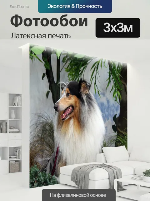 300 × 300 см · Латексная печать