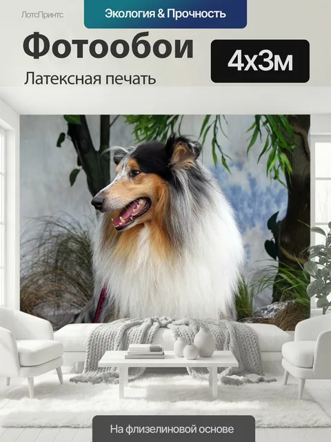 400 × 300 см · Латексная печать
