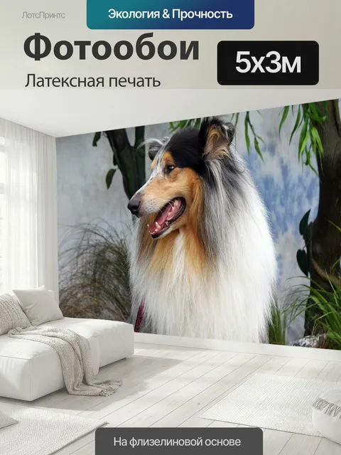 500 × 300 см · Латексная печать
