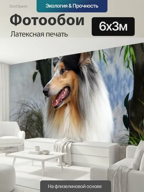 600 × 300 см · Латексная печать