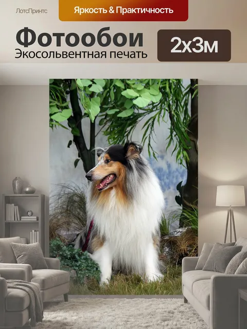 200 × 300 см · Экосольвентная печать