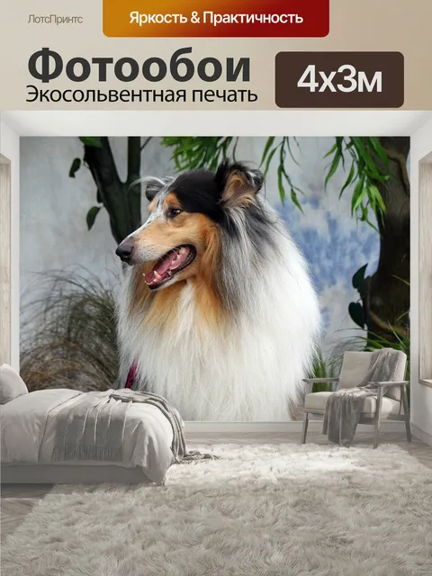 400 × 300 см · Экосольвентная печать
