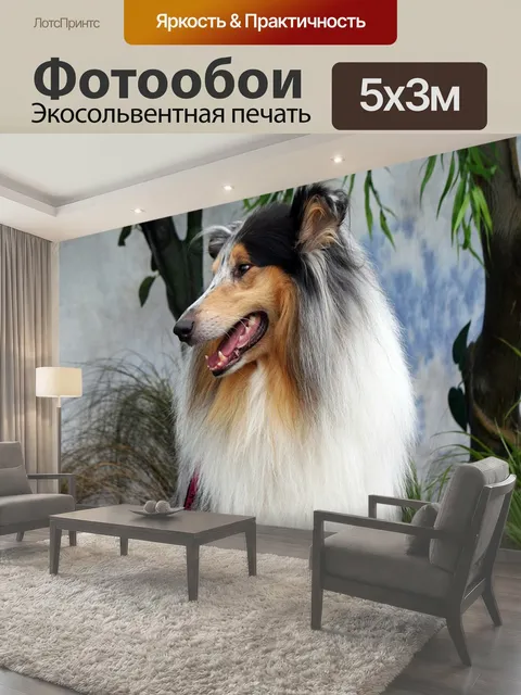 500 × 300 см · Экосольвентная печать