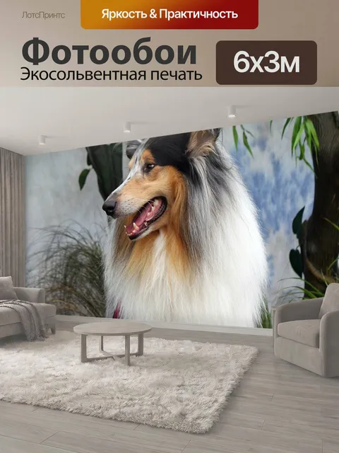 600 × 300 см · Экосольвентная печать