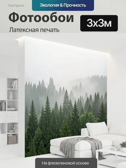 300 × 300 см · Латексная печать