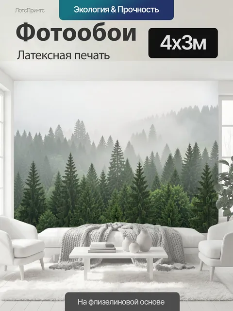 400 × 300 см · Латексная печать