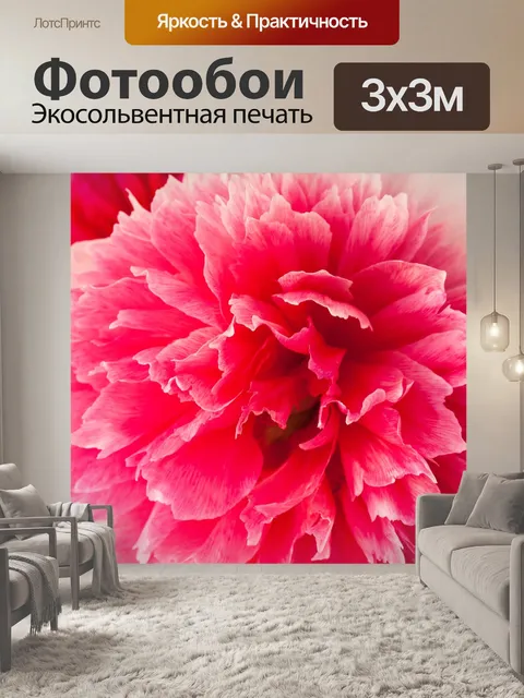 Фотообои Пионы, пион, пятидесятница