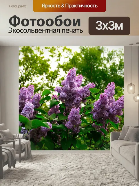 Фотообои Сирень, цвести, цветок