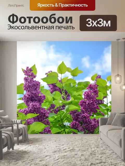 Фотообои Цветок, фиолетовый, блум
