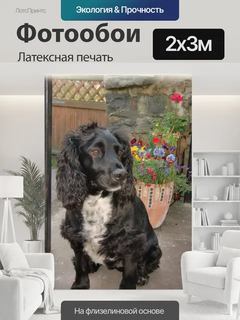 200 × 300 см · Латексная печать