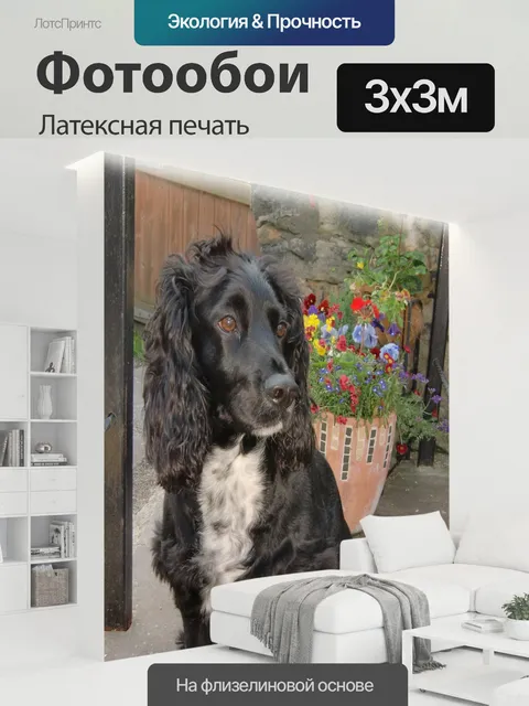 300 × 300 см · Латексная печать