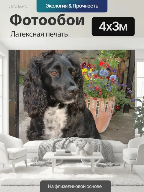 400 × 300 см · Латексная печать