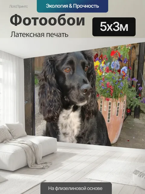 500 × 300 см · Латексная печать