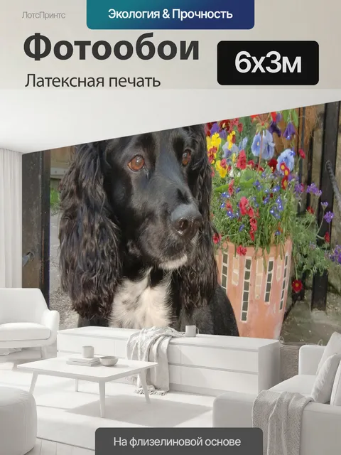 600 × 300 см · Латексная печать