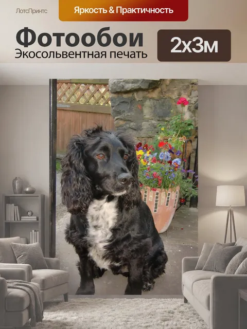 200 × 300 см · Экосольвентная печать