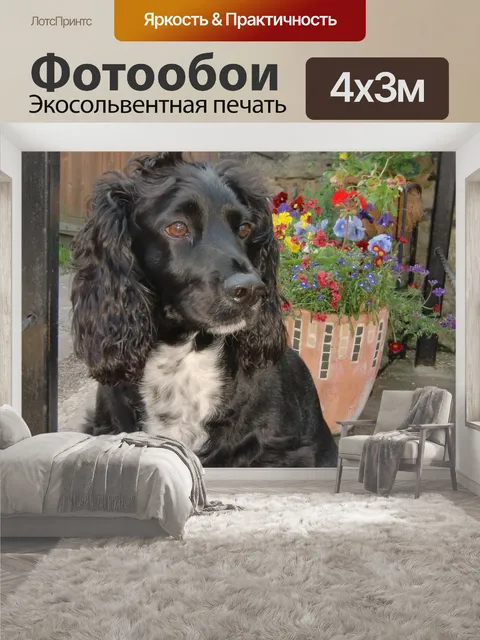 400 × 300 см · Экосольвентная печать