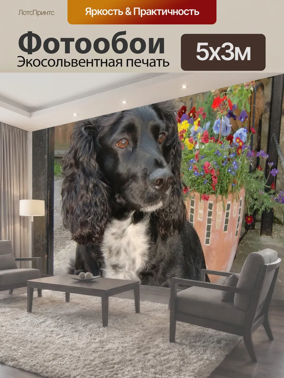 Фотообои Собака, кокер, спаниель