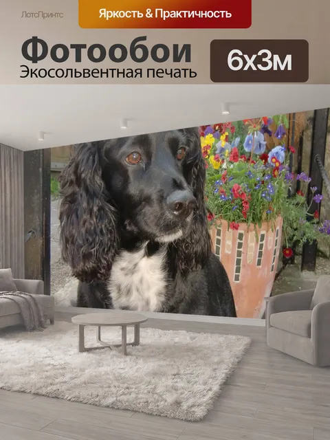 600 × 300 см · Экосольвентная печать