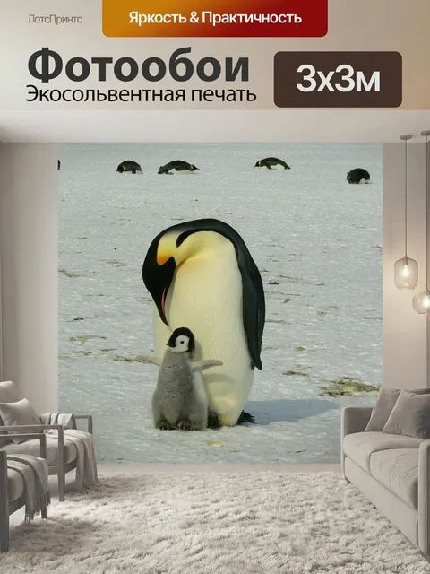 Фотообои Пингвины, императорские пингвины, детка