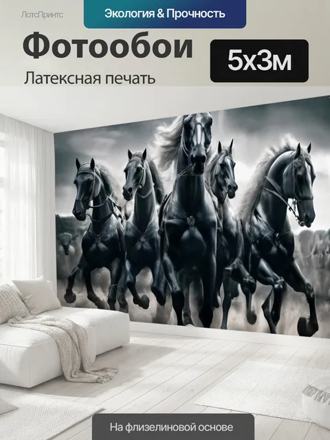 500 × 300 см · Латексная печать