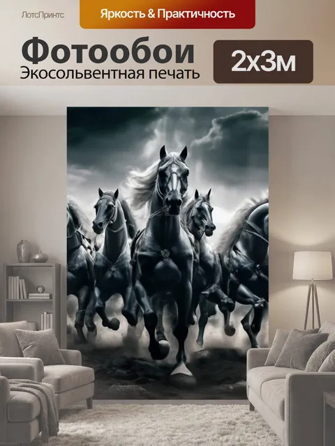 200 × 300 см · Экосольвентная печать