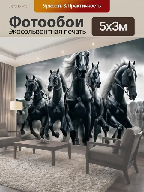 500 × 300 см · Экосольвентная печать