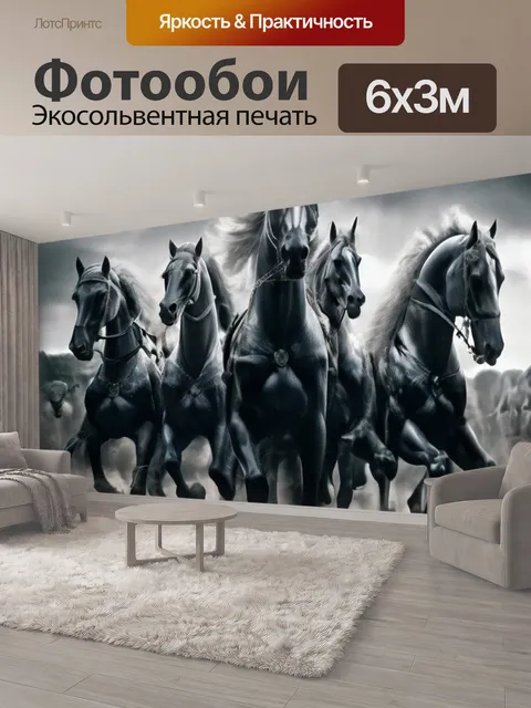 600 × 300 см · Экосольвентная печать