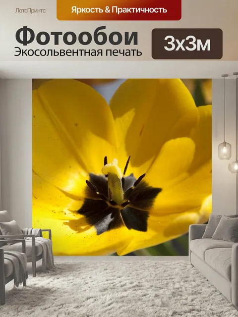 Фотообои Тюльпан, лили, природа
