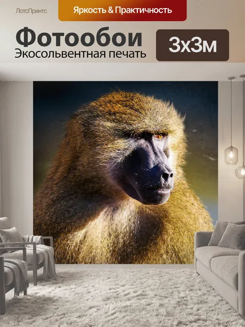 Фотообои Животное, обезьяна, бабуин