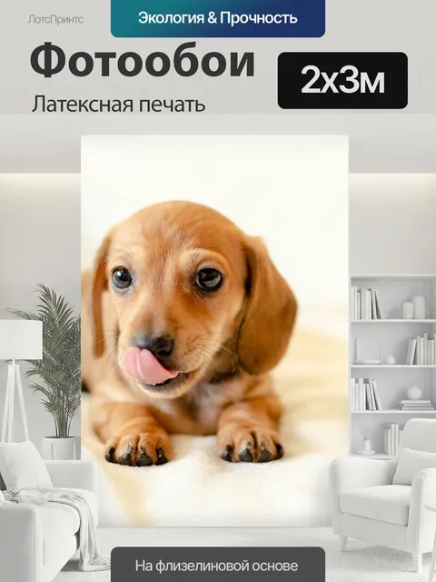 200 × 300 см · Латексная печать