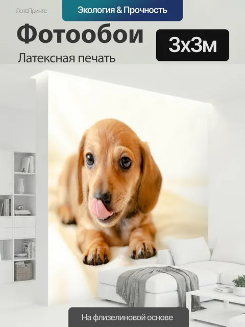 300 × 300 см · Латексная печать