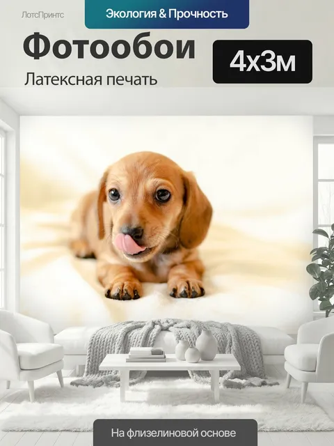 400 × 300 см · Латексная печать