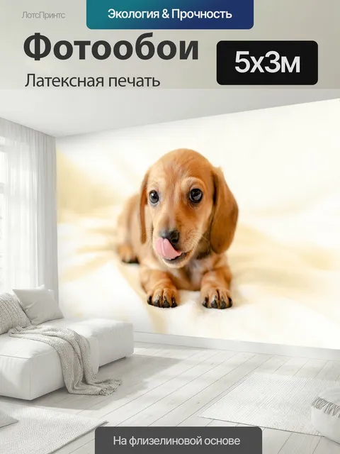 500 × 300 см · Латексная печать