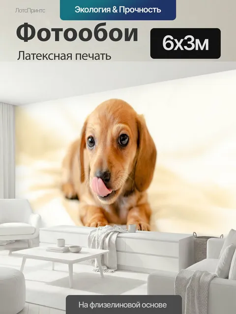 600 × 300 см · Латексная печать