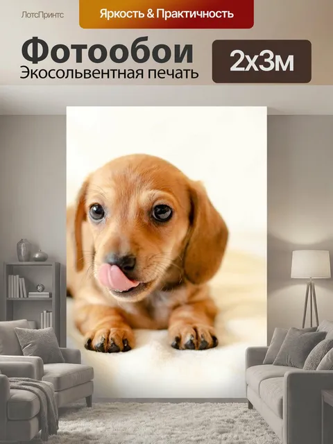 200 × 300 см · Экосольвентная печать