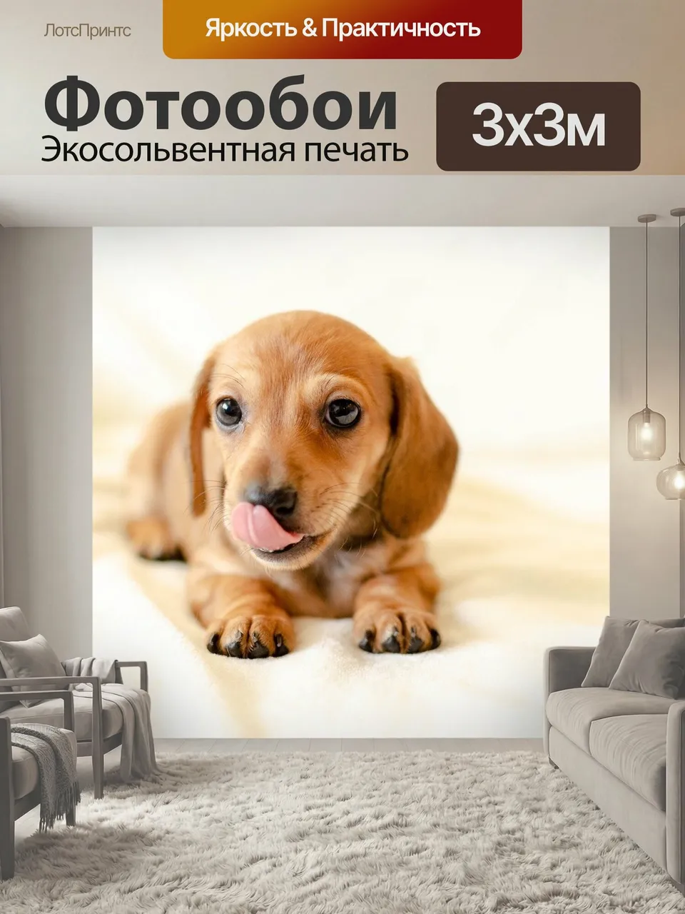 Фотообои Щенок, собака, такса