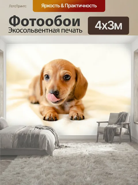 400 × 300 см · Экосольвентная печать