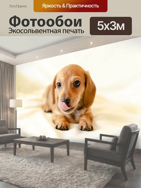 500 × 300 см · Экосольвентная печать